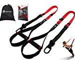 Fitness Trainers