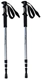ski stick