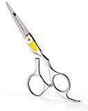 beard scissors