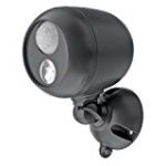 Outdoor light with motion detector