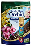 soil for orchids