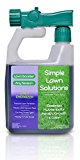 Lawn fertilizer liquid